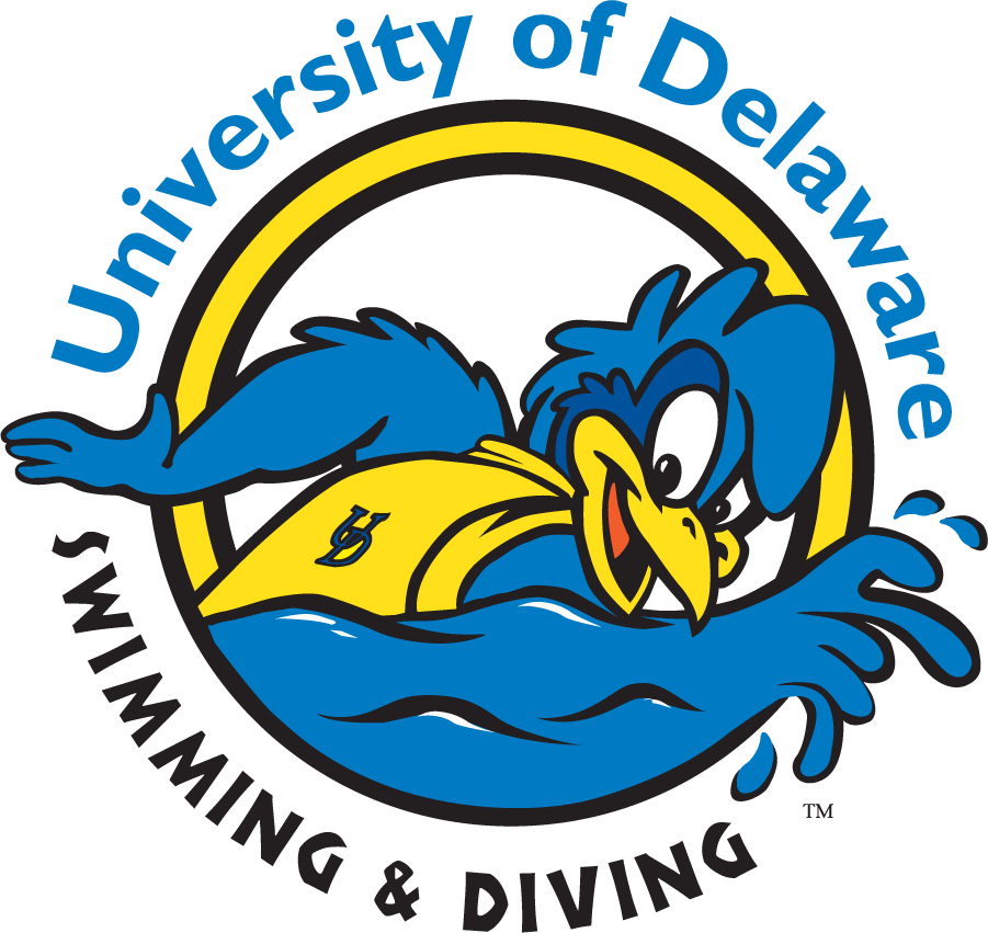 Delaware Blue Hens 1999-2009 Mascot Logo v9 t shirts iron on transfers